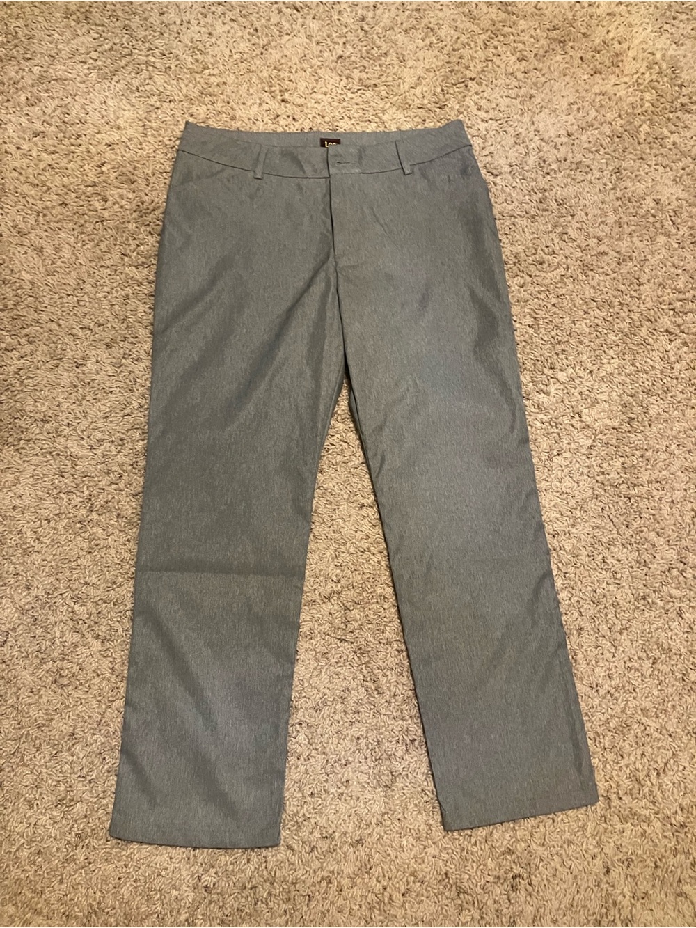 Lee Straight Fit Dress Pants in Gray